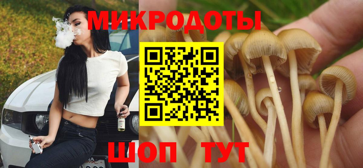 Кувандык  Псилоцибиновые грибы Psilocybine cubensis  Вход с VPN 