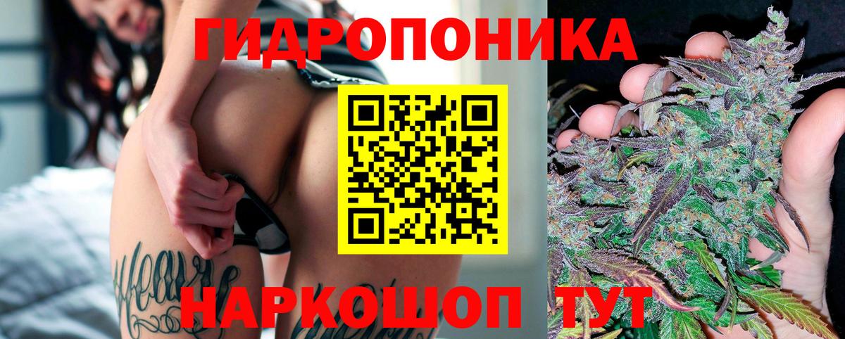 Канабис индика Кувандык